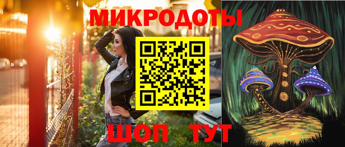 Галлюциногенные грибы Psilocybine cubensis Бердск