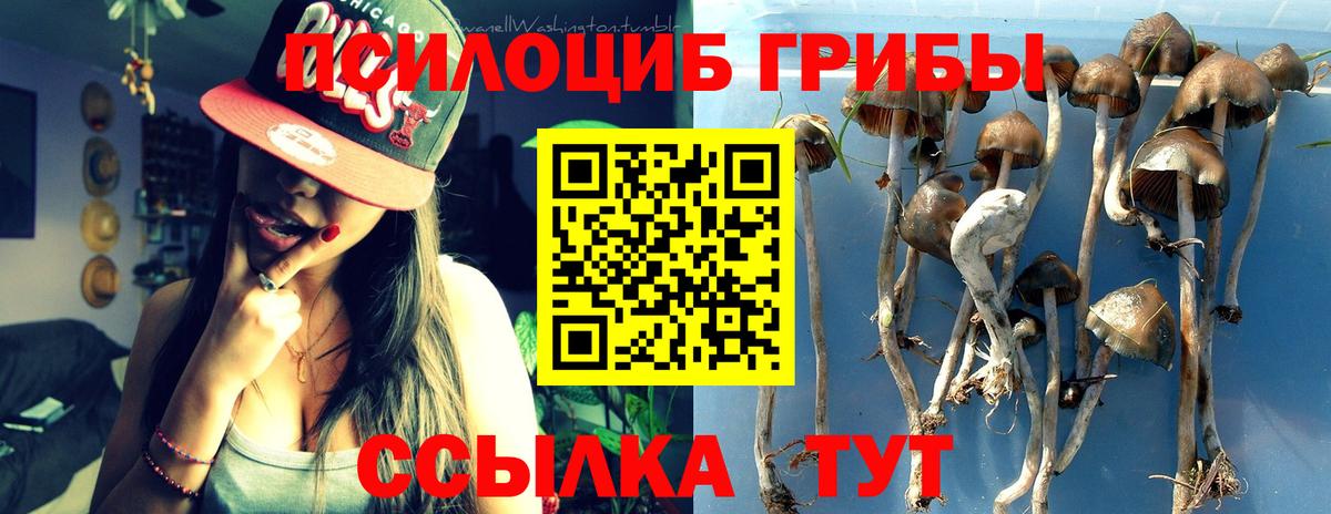 Бердск  Галлюциногенные грибы MAGIC MUSHROOMS  Вход с VPN 